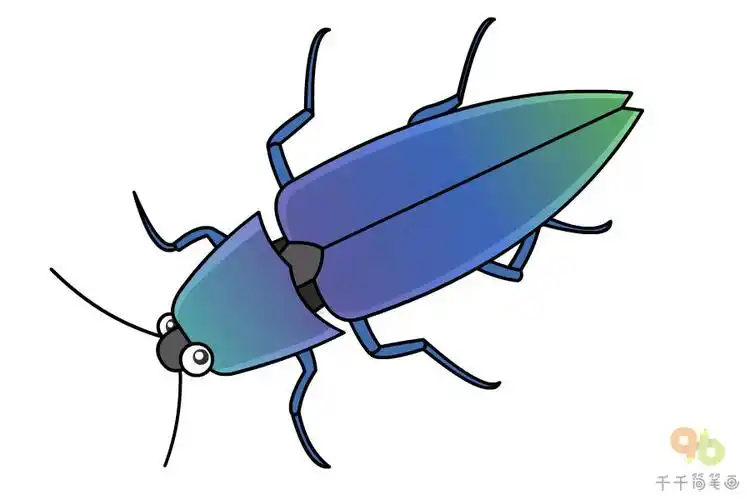 叩头虫简笔画如何画