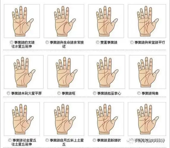 16手相事业线图解一,事业线的外形1,事业线浅阔,本身一生辛苦劳碌