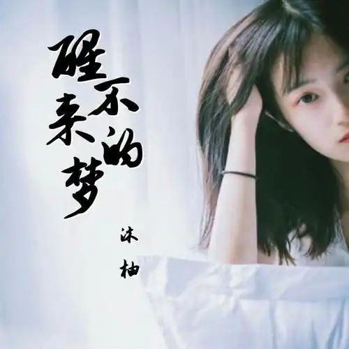 醒不来的梦(dj版)