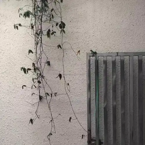 qq封面图2,qq封面图片大全动漫(朋友圈背景图,qq空间封面图)