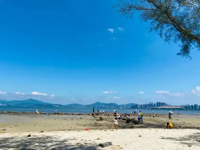 200多标双当天晚上海滩散步 游泳第二天计划的海龟岛放弃 直接赤