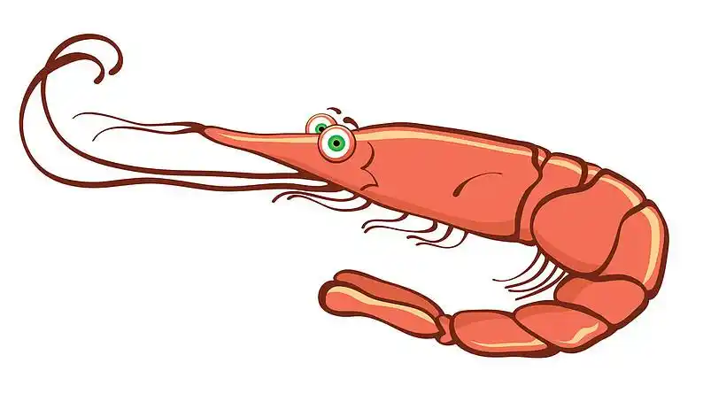 虾,卡通,白色背景,背景_高清图片_全景视觉