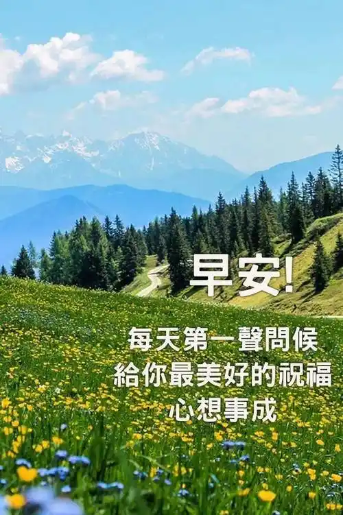 原创8张免打字问候大家早上好的漂亮鲜花图片夏日早上好温馨祝福图片
