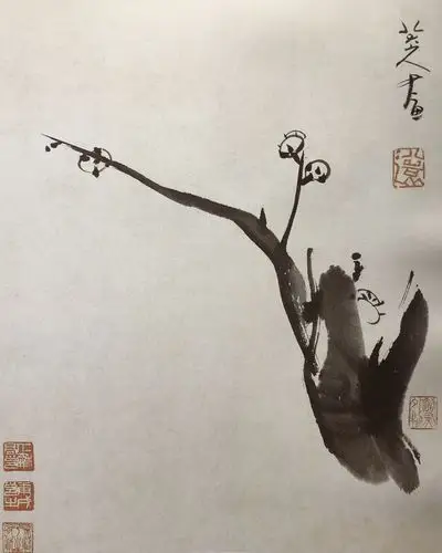 看画知味写意八大山人