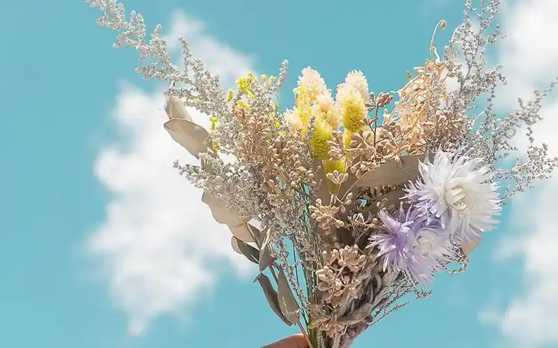 十二星座,天生丽质,气质非凡,让男人一见钟情的星座女_女生_都会_爱情