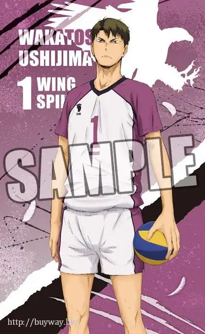 排球少年!! : 日版 「牛岛若利 & 天道辉」cushion : buyway.hk