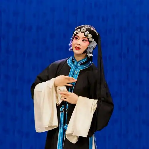 黄梅戏失子惊疯