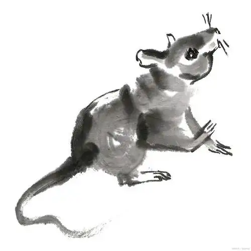 水墨动物画:简单又漂亮的创作之旅