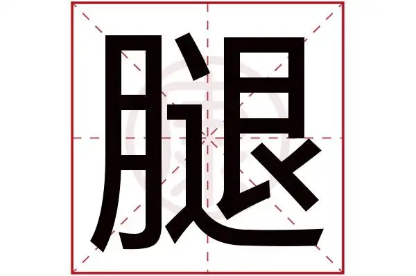 腿字的意思腿有几笔