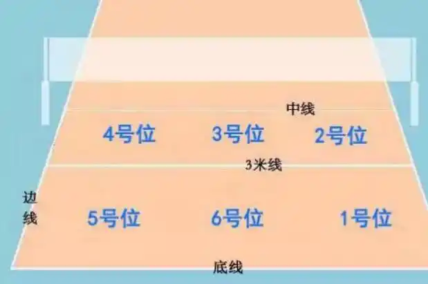 排球六个位置分别叫什么?球场上自由人站在哪里?
