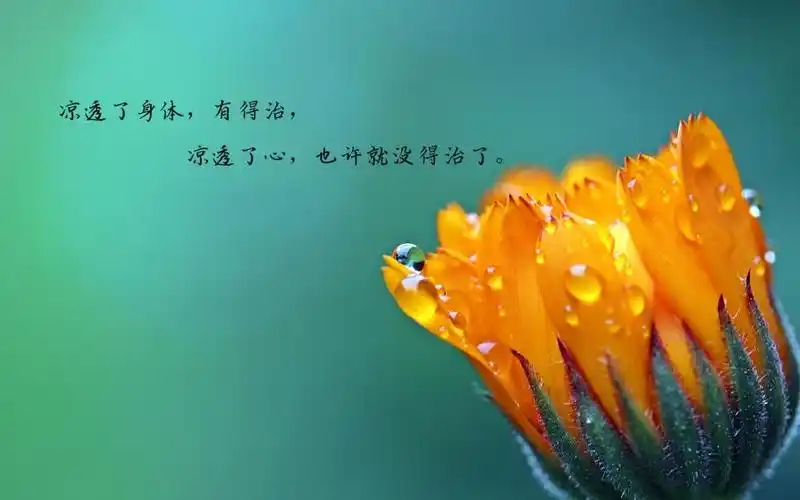 内容简介 一句话让人心凉透的说说图片:心凉了,挽回的却只是失望和