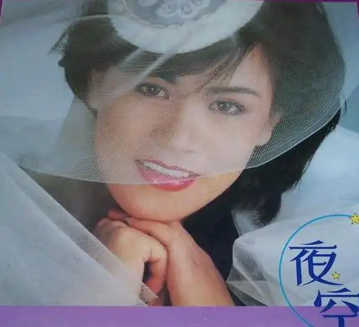 《月圆花好》专辑 台湾甜歌皇后 林玉英