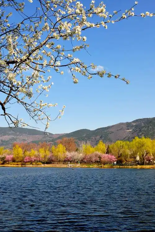 碧水蓝天春草芳菲