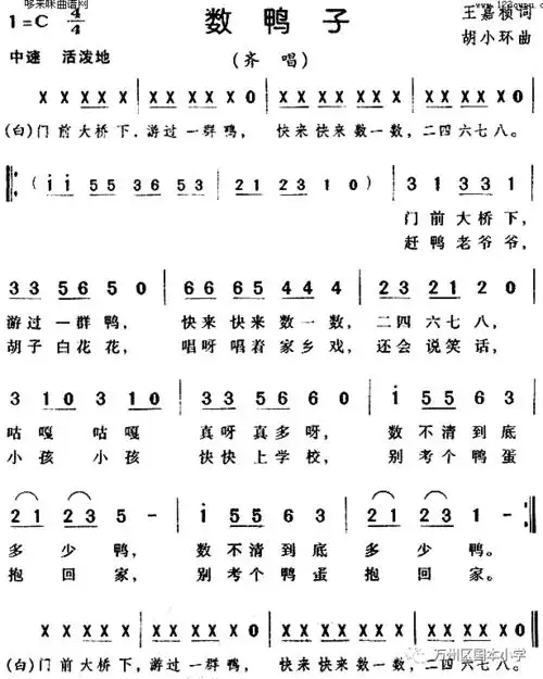 数鸭子_歌曲
