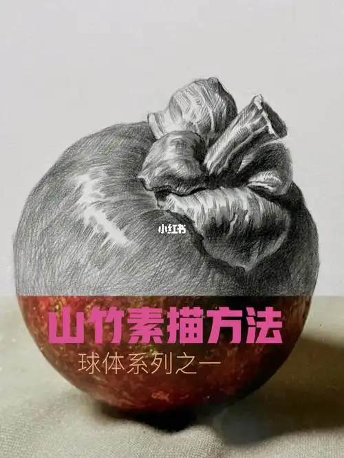 静物素描山竹素描方法步骤