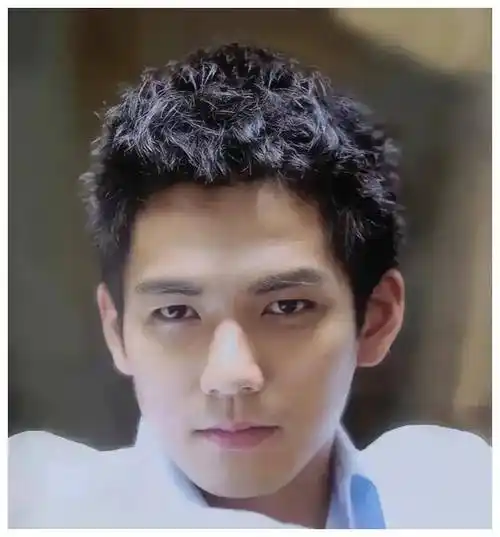 盘点内娱15 位高美颜值男艺人,直接秒杀现在的鲜美男艺人_苏有朋_时候