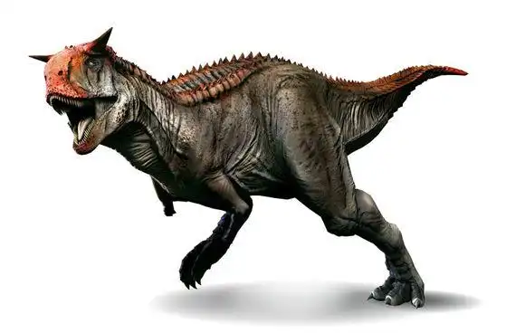 p>牛龙 (属名:carnotaurus)又名食肉牛龙,肉食牛龙,属于 a target="