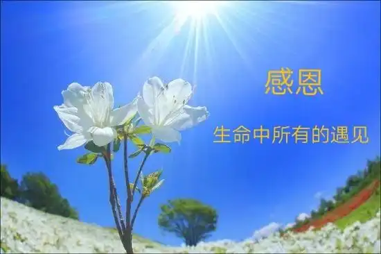 其它 小龙人幼儿园中二班 感恩有你 写美篇在茫茫人海中 感恩遇见赵