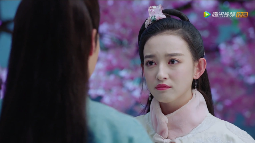 《花谢花飞花满天》花含羞