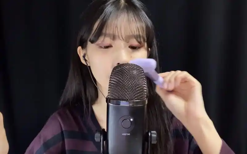 asmr ddidda 搔痒和轻柔的刺痛(刷子刷麦克风 口腔音 轻吹风 轻拍).