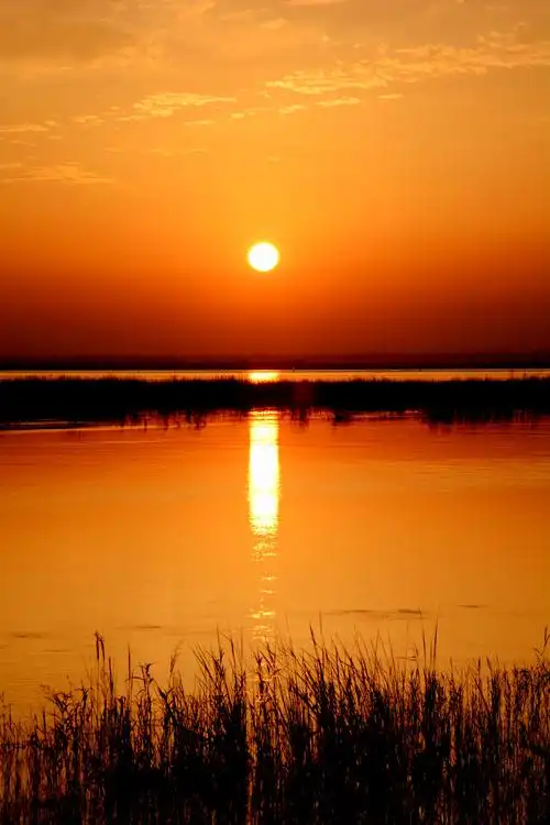 黄河落日美,晚霞醉人间