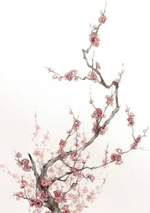 古风花卉绘师山人辰露