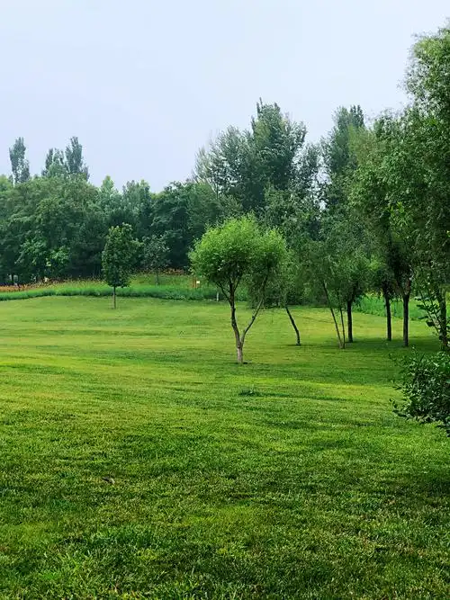 漫步固安生态公园