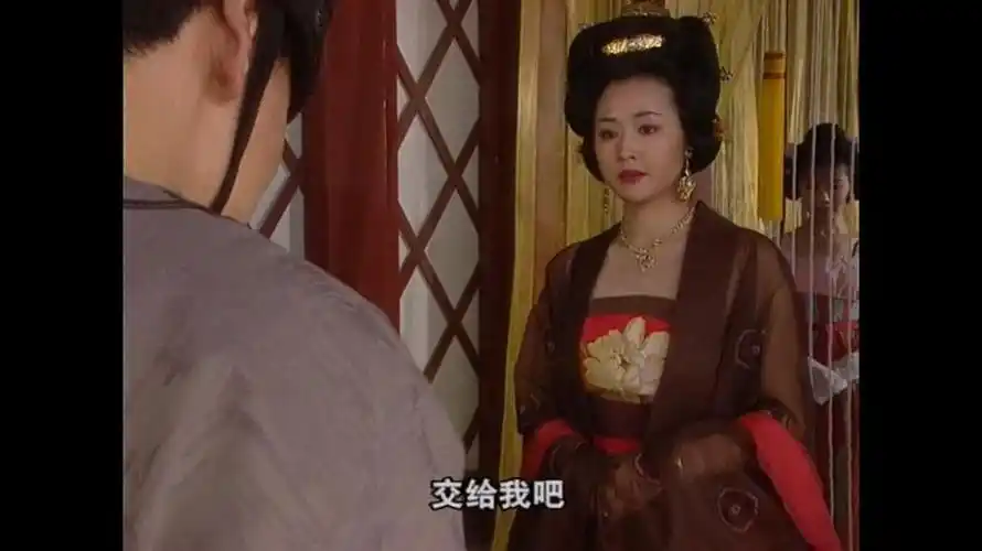 拿着密函的宣华夫人回宫殿去了.