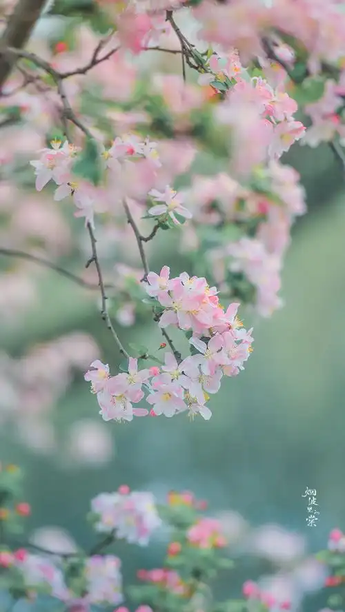 #最春天的照片#