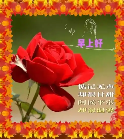 最新秋天变冷早安关心带字图片季节变换早上好暖心祝福语语录