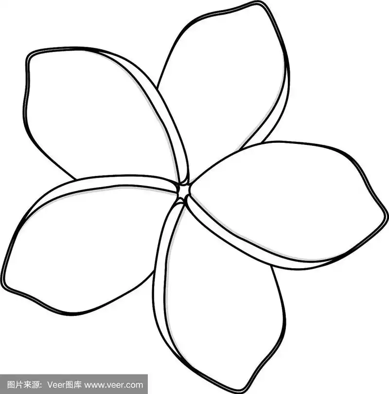 椭圆形花瓣的剪影花