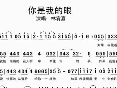 你是我的眼 你是我的眼