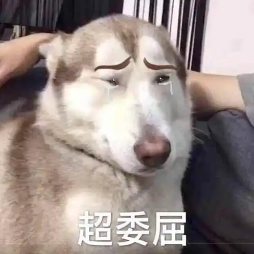 二哈 委屈 泪花系列萌宠表情包