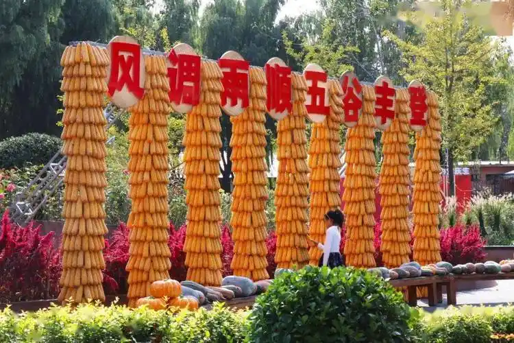 在一进园的雕塑旁有玉米搭设的造型,"风调雨顺,五谷丰登"是爸妈打卡的