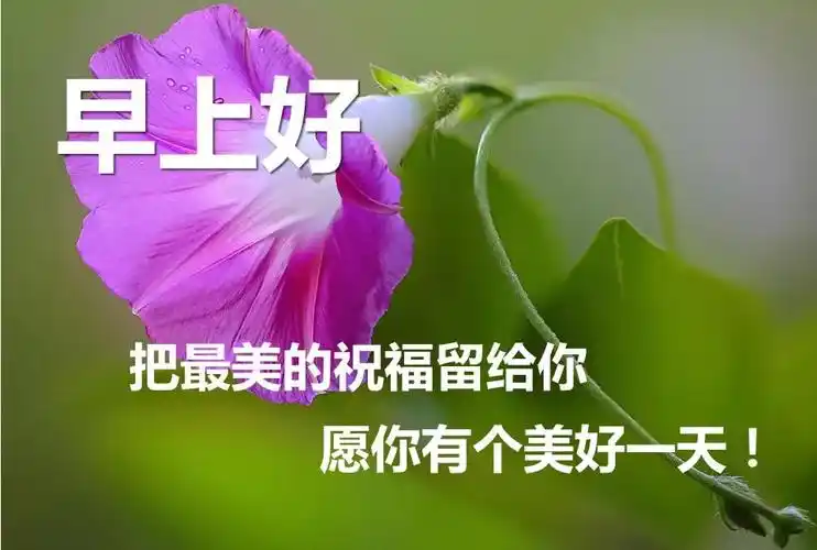夏季早上好祝福语图片表情大全早晨好图片动态开心句子