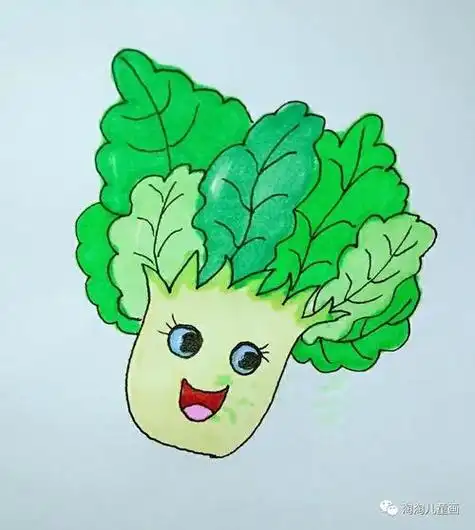 大白菜简笔画 大白菜简笔画怎么画