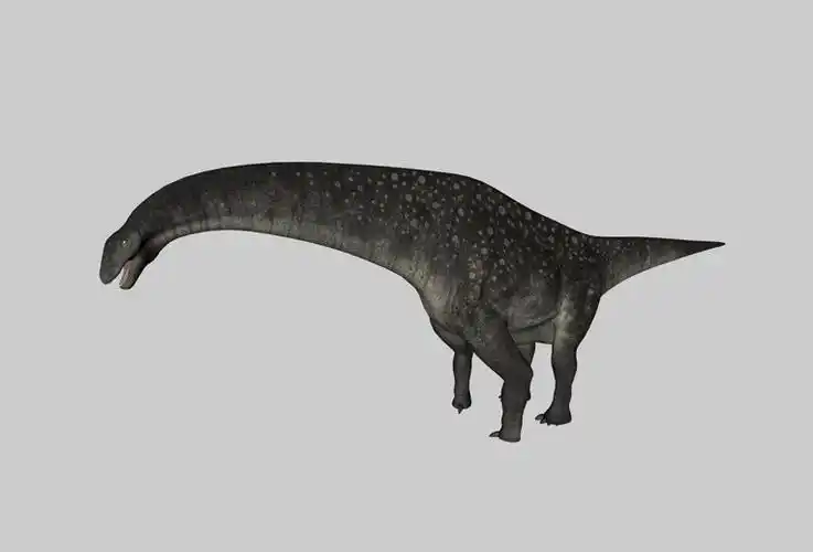 恐龙c4d模型泰坦巨龙titanosaurus