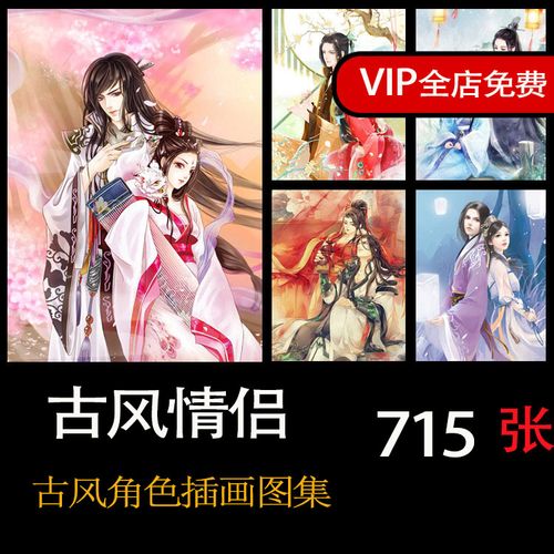 中国风古风情侣动漫插画图片素材库 人物美术绘画图片图集c862