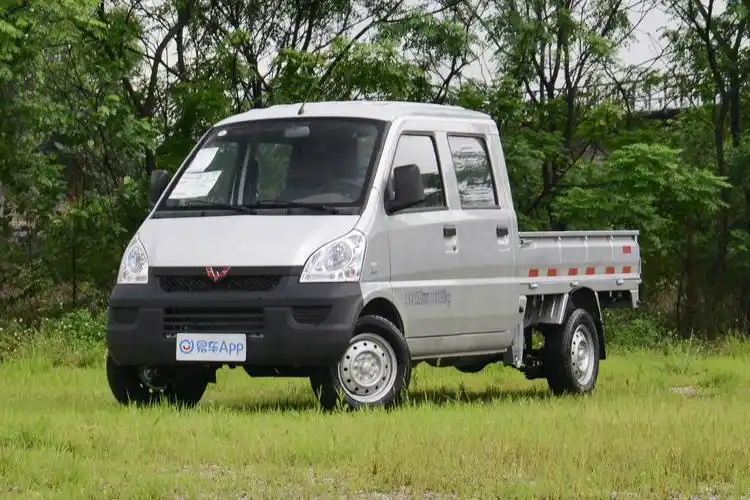 2021款 五菱荣光小卡 1.5l 双排标准型空调版 5座外观