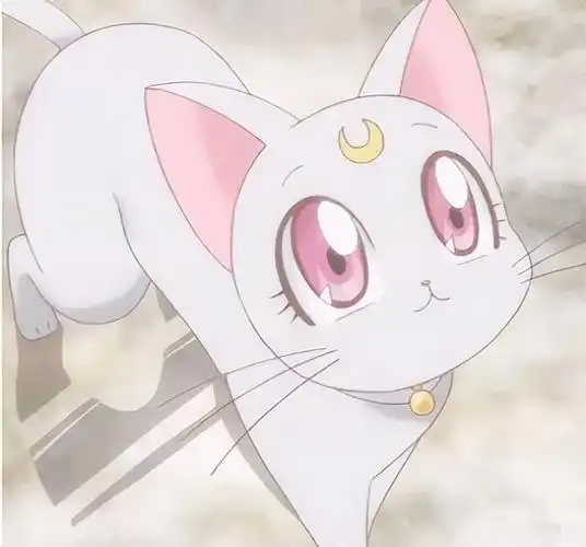 卡通动物图片可爱萌萌(这十五只可爱到犯规的动漫萌宠) - 赤虎壹号