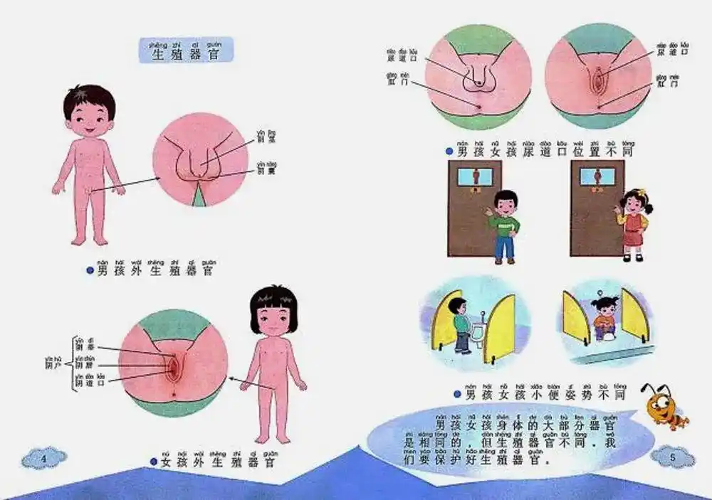 在什么部位,长什么样子,叫什么名字,男孩和女孩有什么不同.