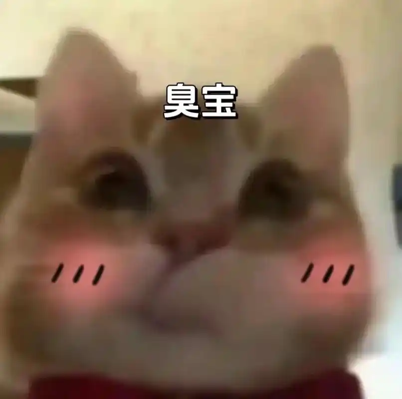 涩涩小猫咪表情包.原图抖音搜"沐风表情社"进小程序输1212 - 抖音