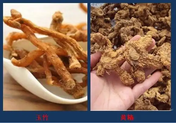 多花黄精与玉竹怎么区分