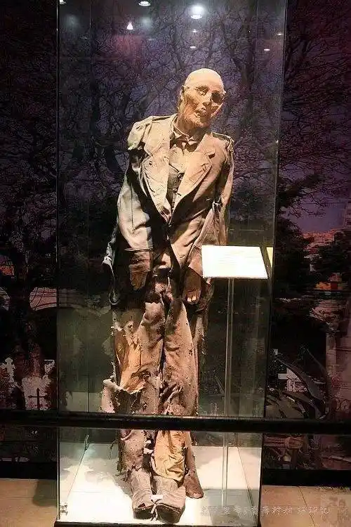 世界上最恐怖的人尸博物馆姿态蜷缩扭曲你敢去吗