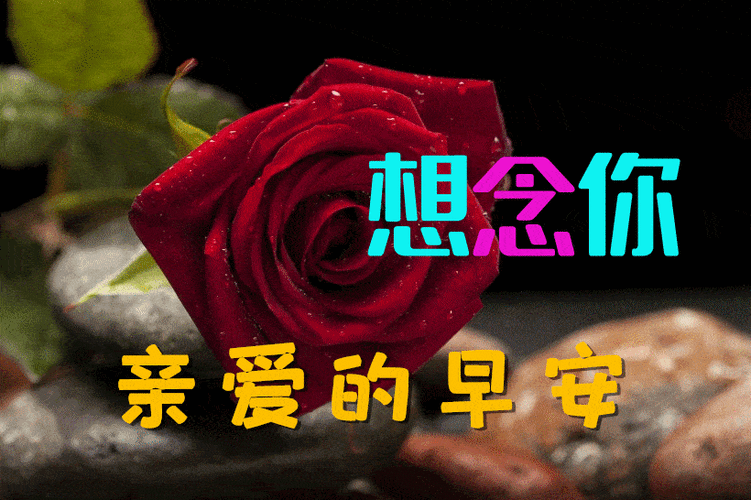 2022最新520早上好动态表情图片大全早上好问候语句子