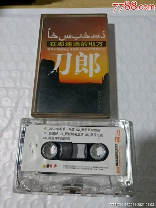 刀郎–在那遥远的地方