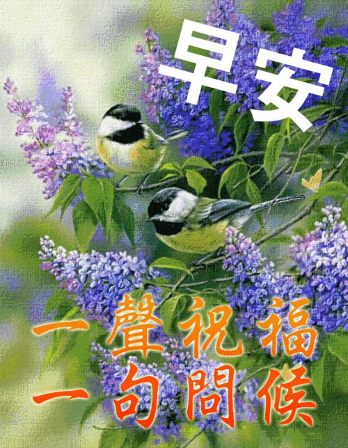 2,有一种感觉叫做幸福,有一种心跳叫做快乐,有一种祝福叫做早上好