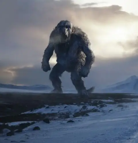 一个很大的怪兽样子有点像猩猩