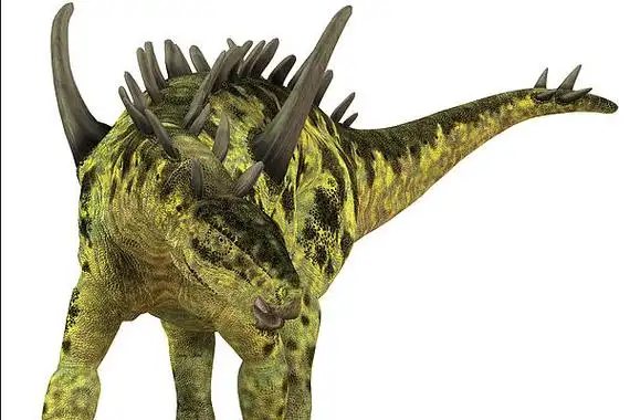 小型剑龙类巨棘龙肩膀长有一对巨大尖刺达2米