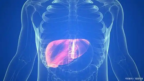 肝区隐隐痛照b超又没事是怎么回事?